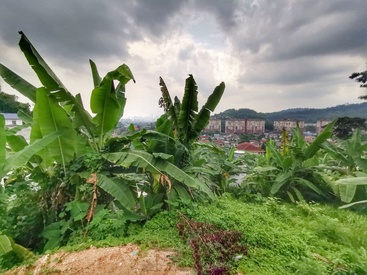 Tanah Kampung Bukit Sungai Puteh