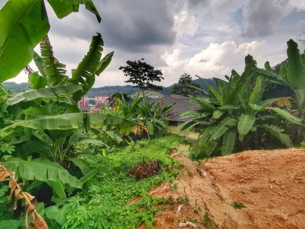 Tanah Kampung Bukit Sungai Puteh - photo 3