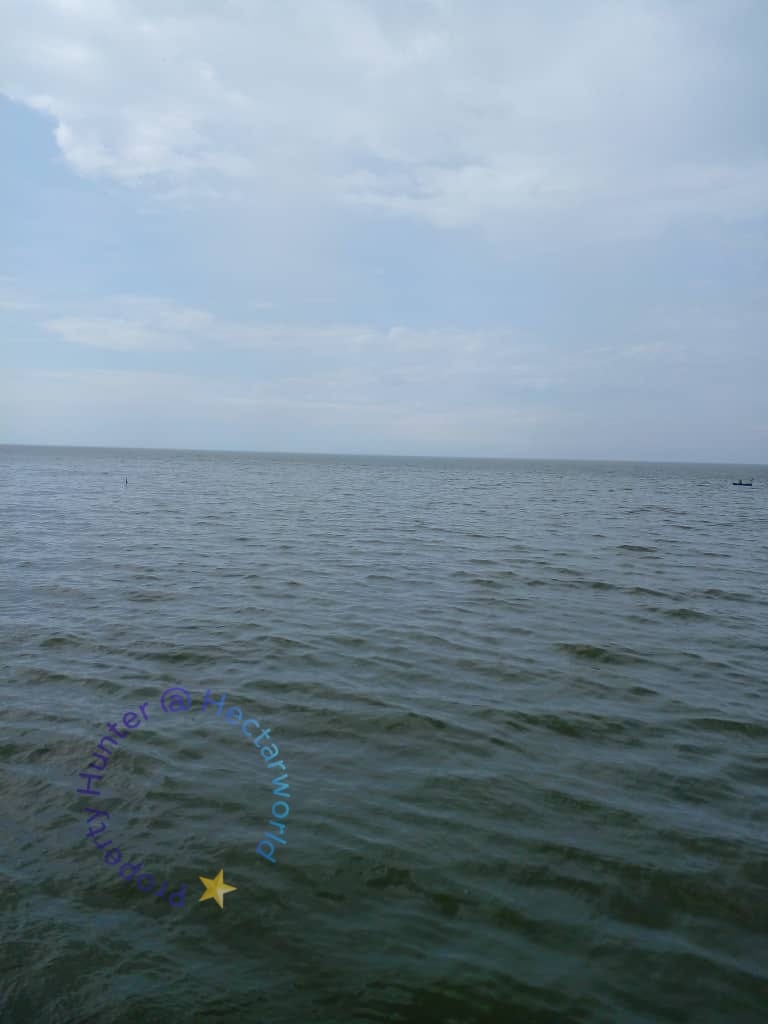 Taman Emas - photo 11