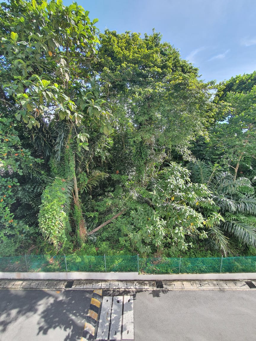 Taman Ria - photo 10