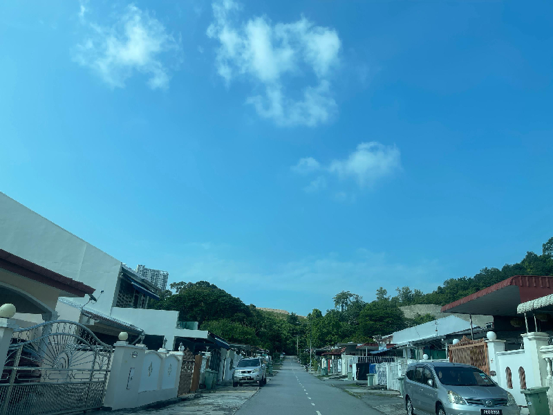 Greenlane Single Storey Terrace House