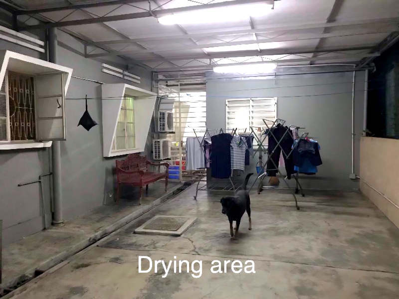 Gelugor Single Storey Bungalow Main Road Facing Suitable for Commercial  - photo 8