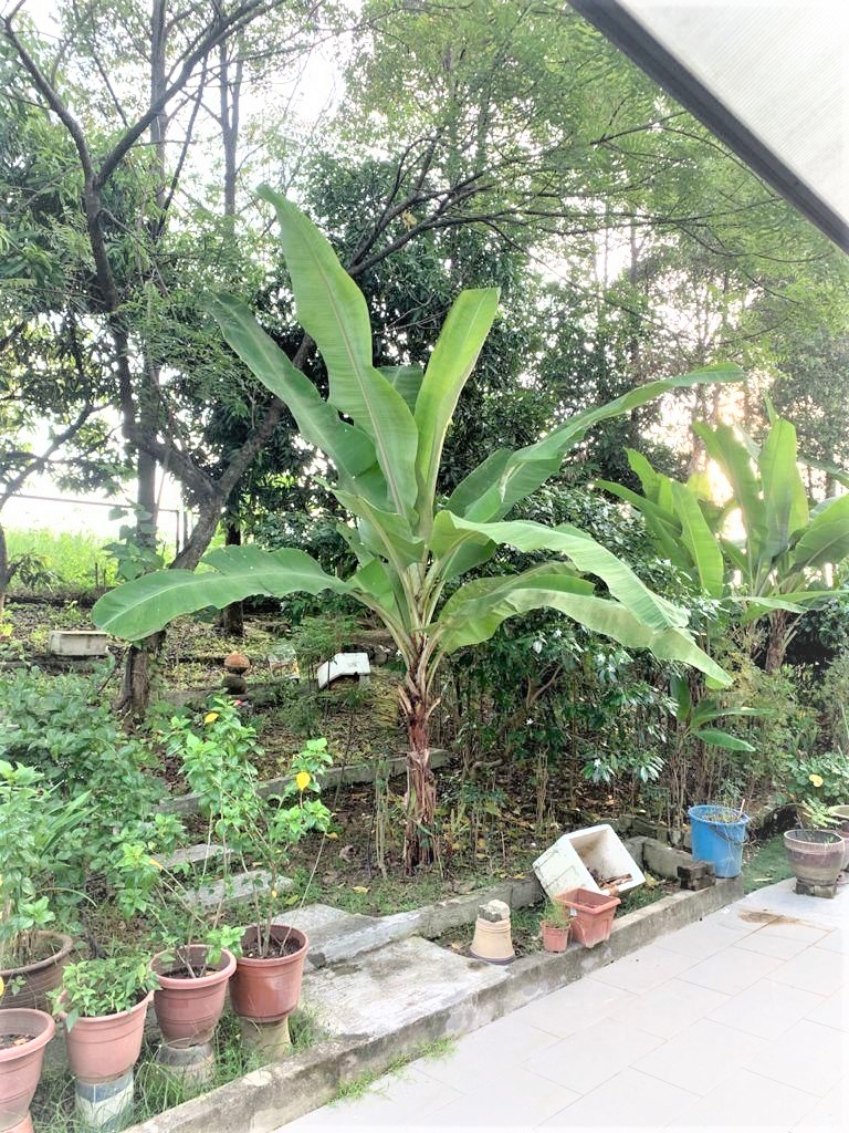 2 and half Storey Link USJ heights Subang jaya - photo 9