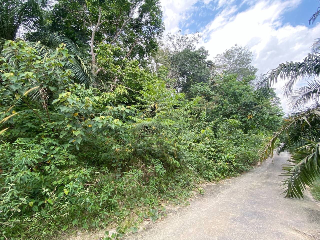 Land for Sale DESA V ...
