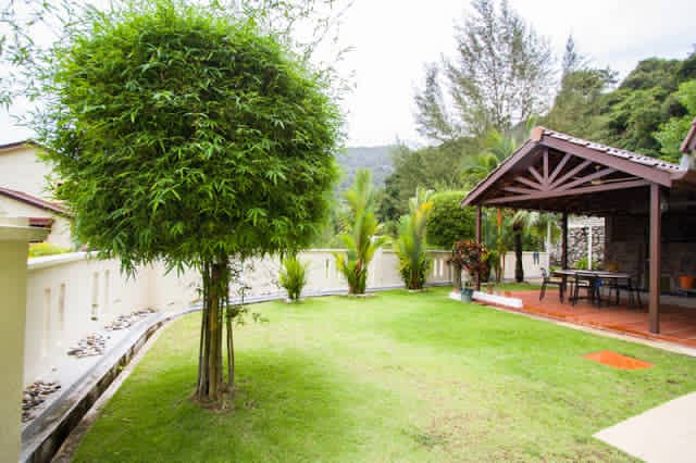 ferringhi villa - photo 3