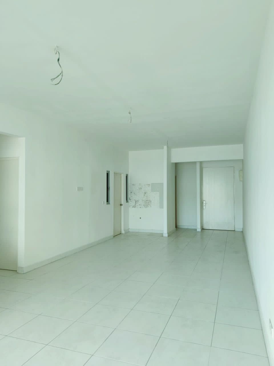 elit height - photo 2