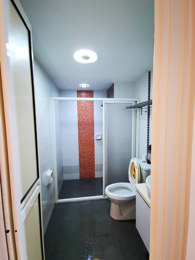 The Spring at Jelutong Karpal Singh Nice Reno - photo 4