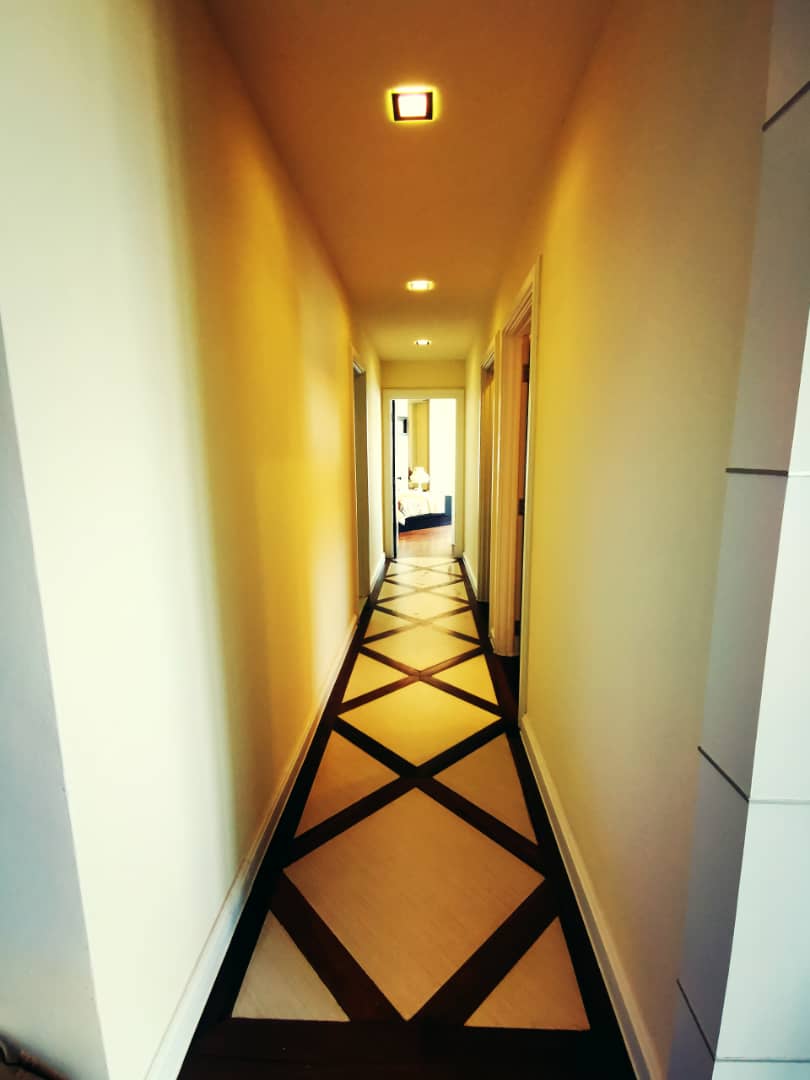 The Spring at Jelutong Karpal Singh Nice Reno - photo 6