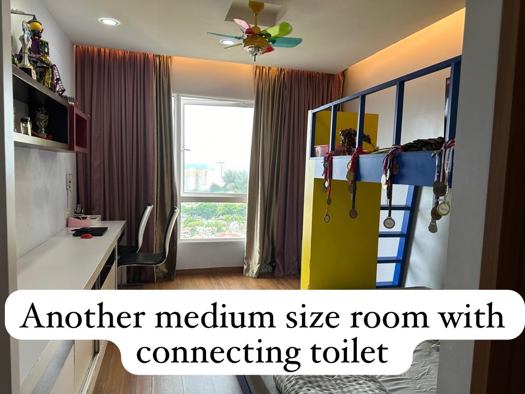 Central Park at Jelutong Nice Reno Cheapest - photo 5