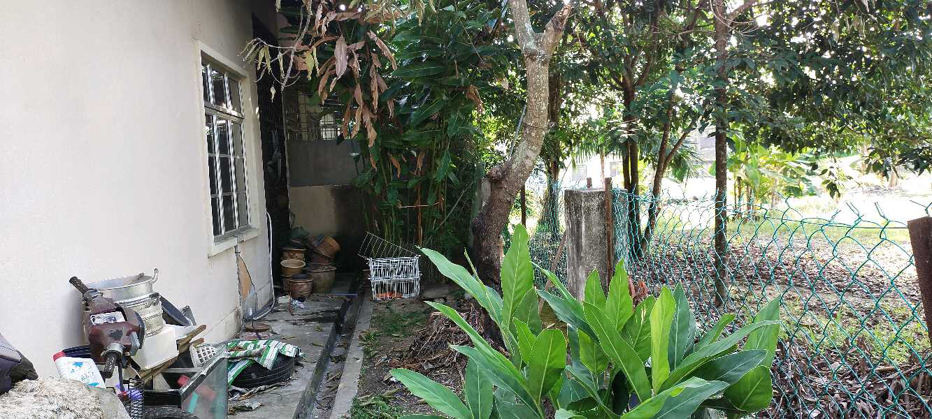 TAMAN DESA CENDERAWASIH, SEPANG - photo 4