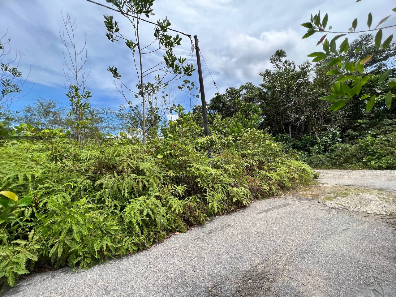 Tanah Kampung Sungai Buah Dengkil