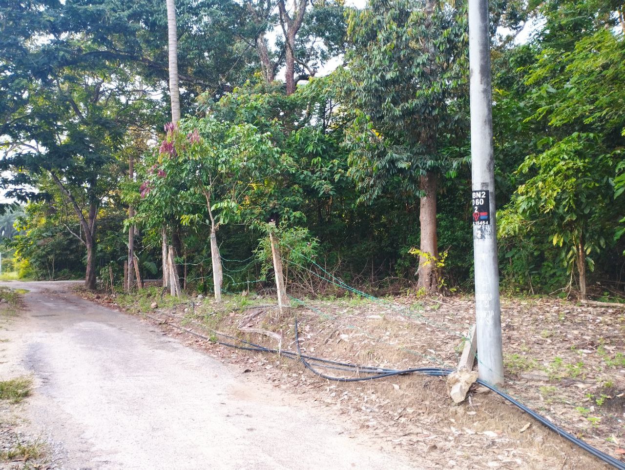 Tanah Dusun Lenggeng - photo 2