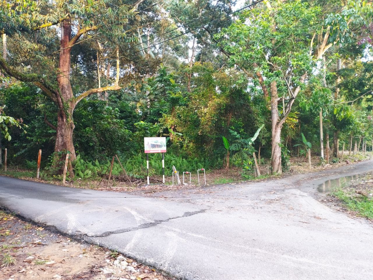 Tanah Dusun Lenggeng - photo 3