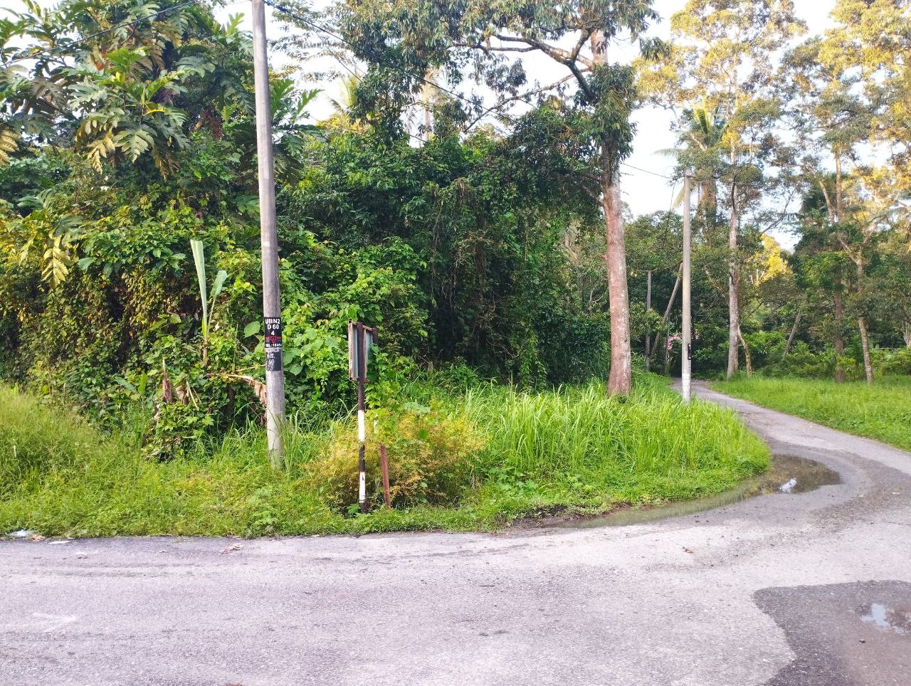 Tanah Dusun Lenggeng - photo 7