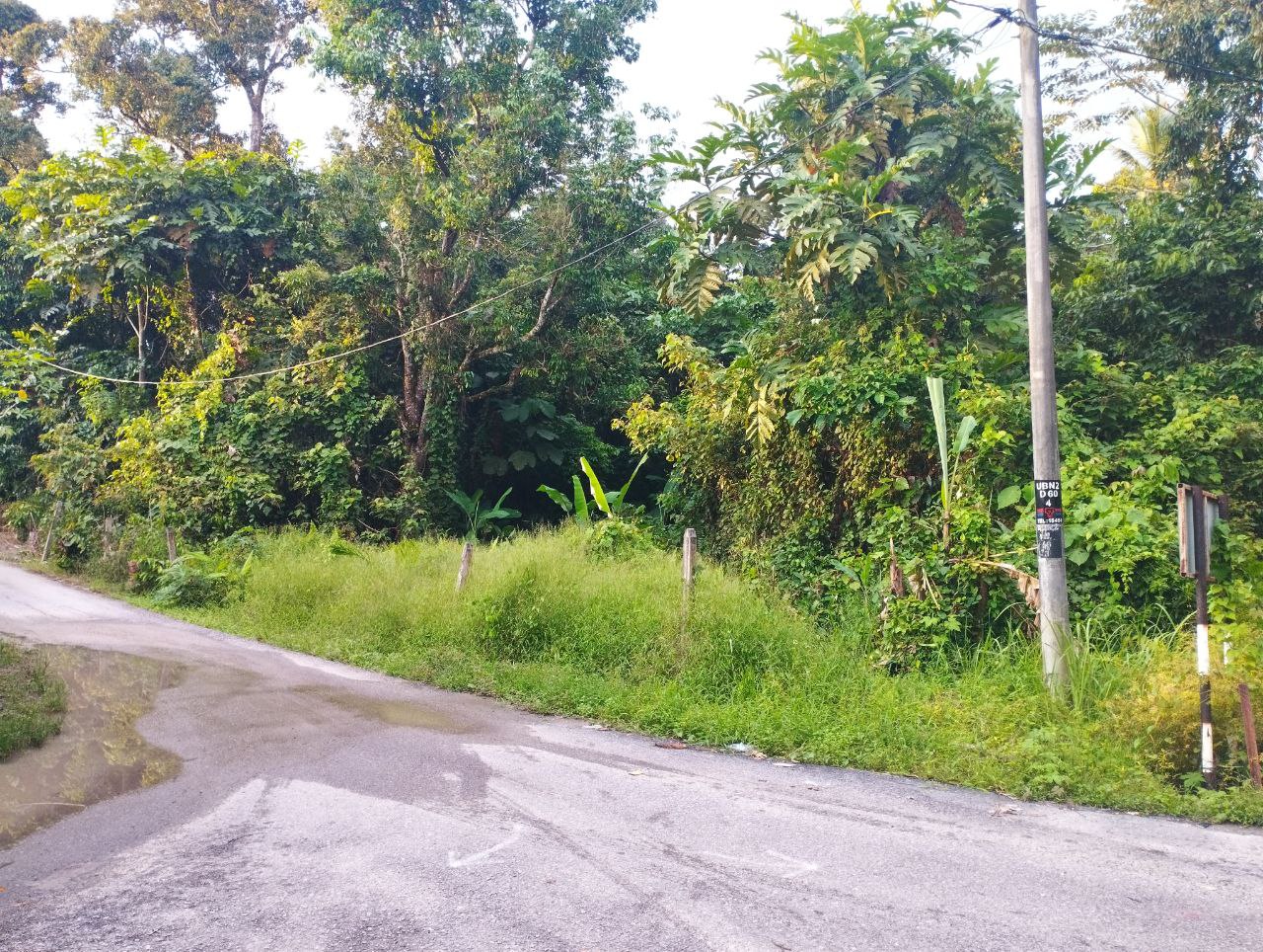 Tanah Dusun Lenggeng - photo 8