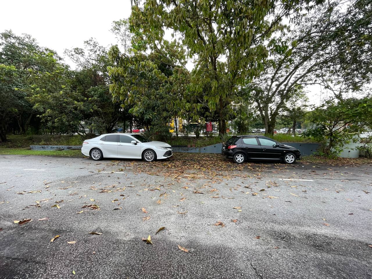 Double Storey Seksyen 6 Kota Damansara - photo 5