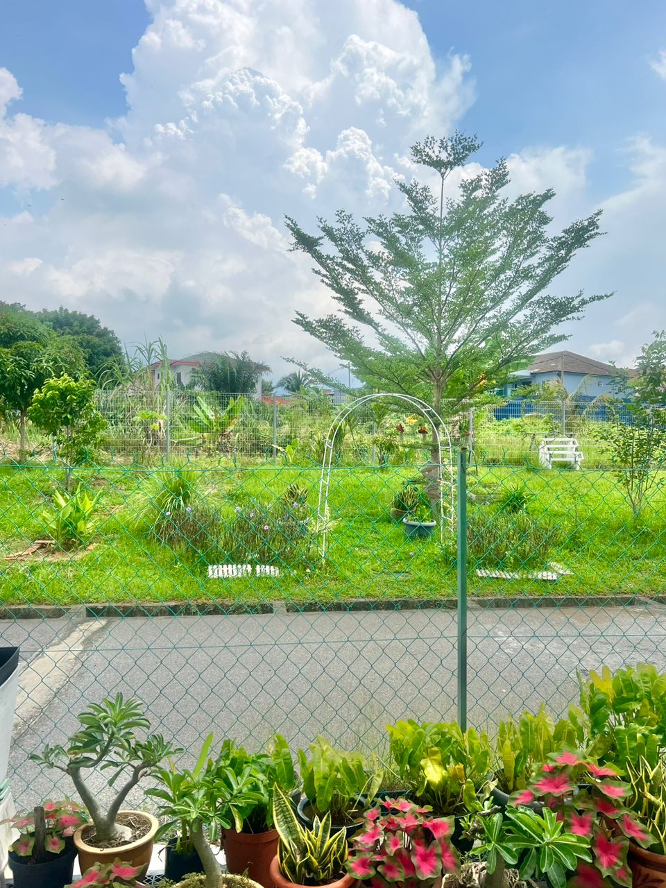 Double Storey Tresna Saujana Perdana Sg Buloh - photo 2