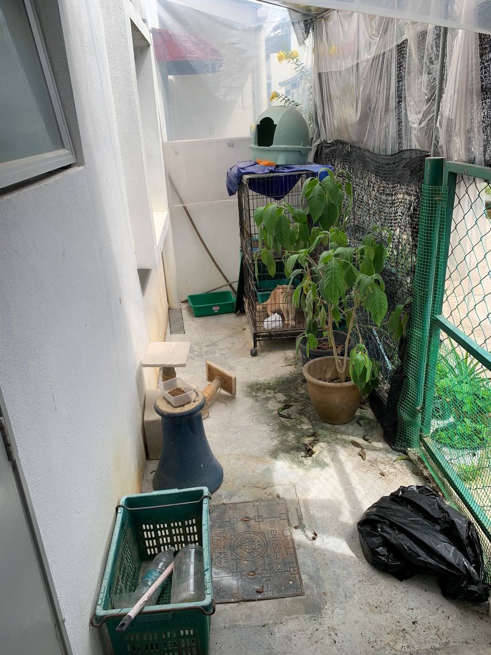 Taman Putra Bukit Rahman Putra - photo 3