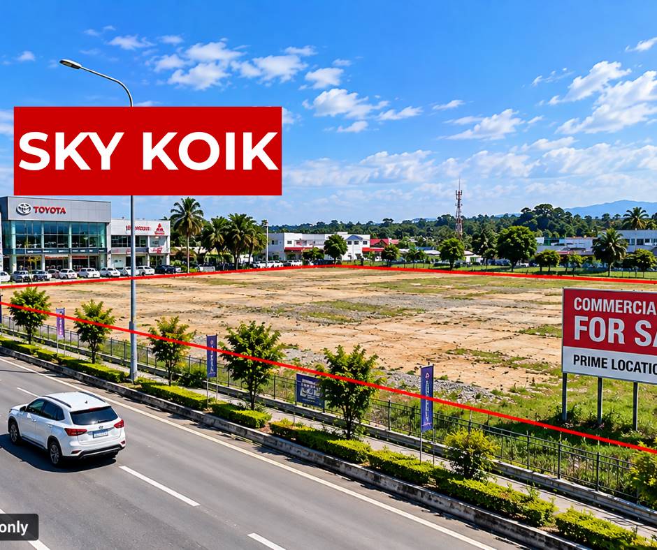 Simpang Ampat Commercial Land 40,000sqft - photo 4