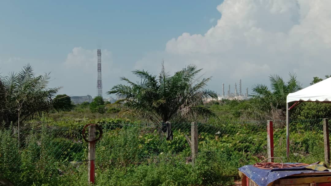 Freehold Land Kampung Lepau Pengerang Johor - photo 3