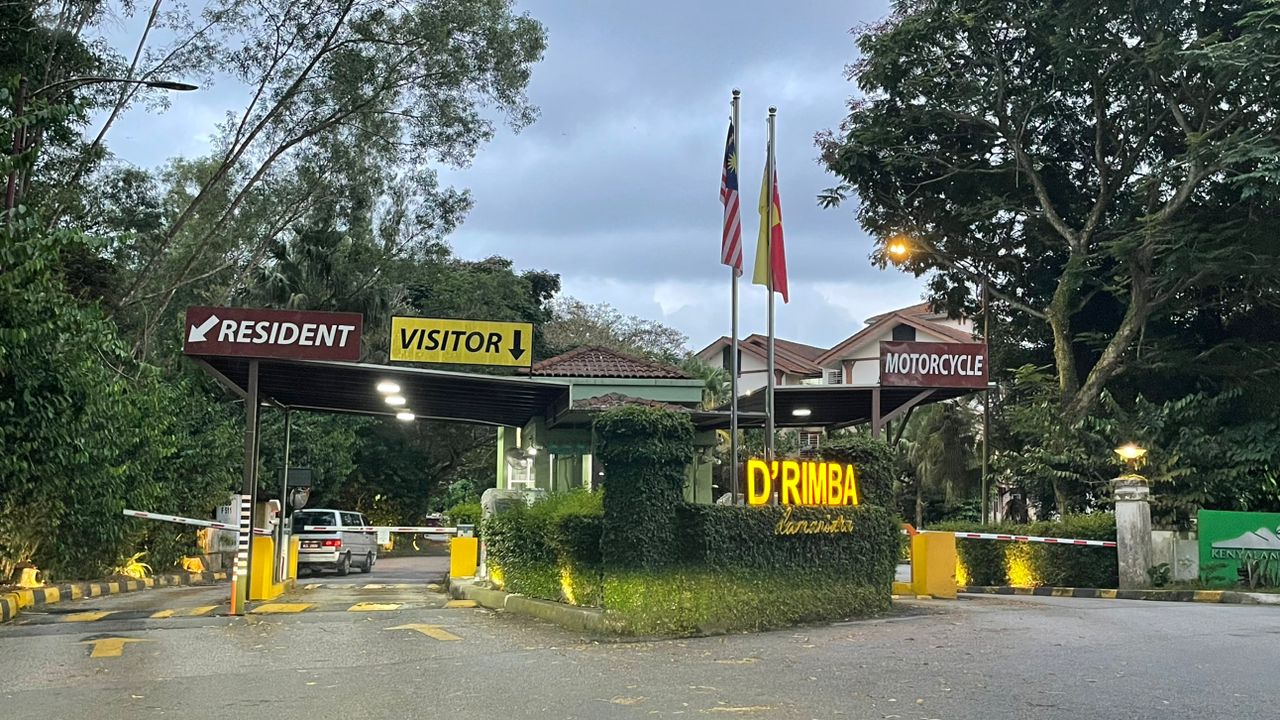 D RIMBA DAMANSARA KOTA DAMANSARA - photo 2