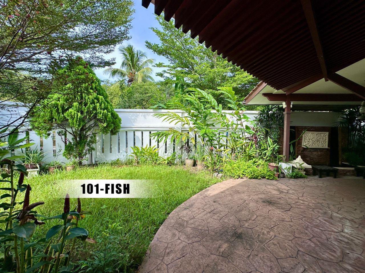 For sale Anggerik liparis kota kemuning - photo 2