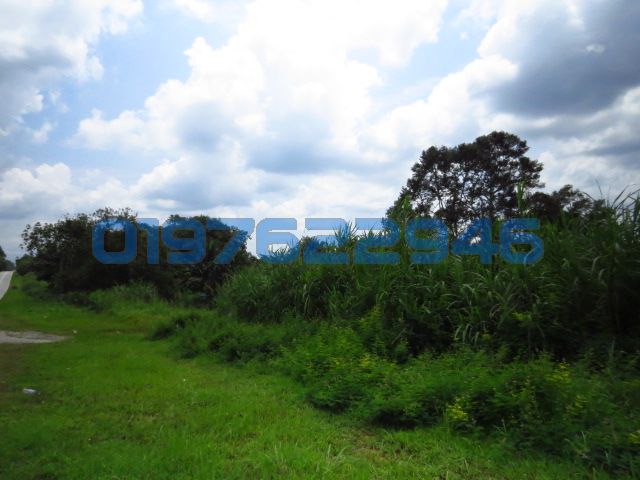 Penggarang ,sungai ringgi - photo 3