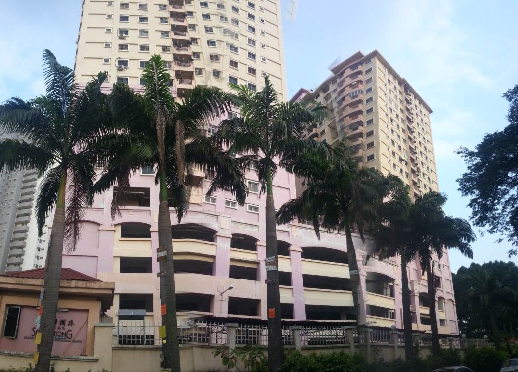 Apartment Sri Gotong, Batu Caves, - photo 6
