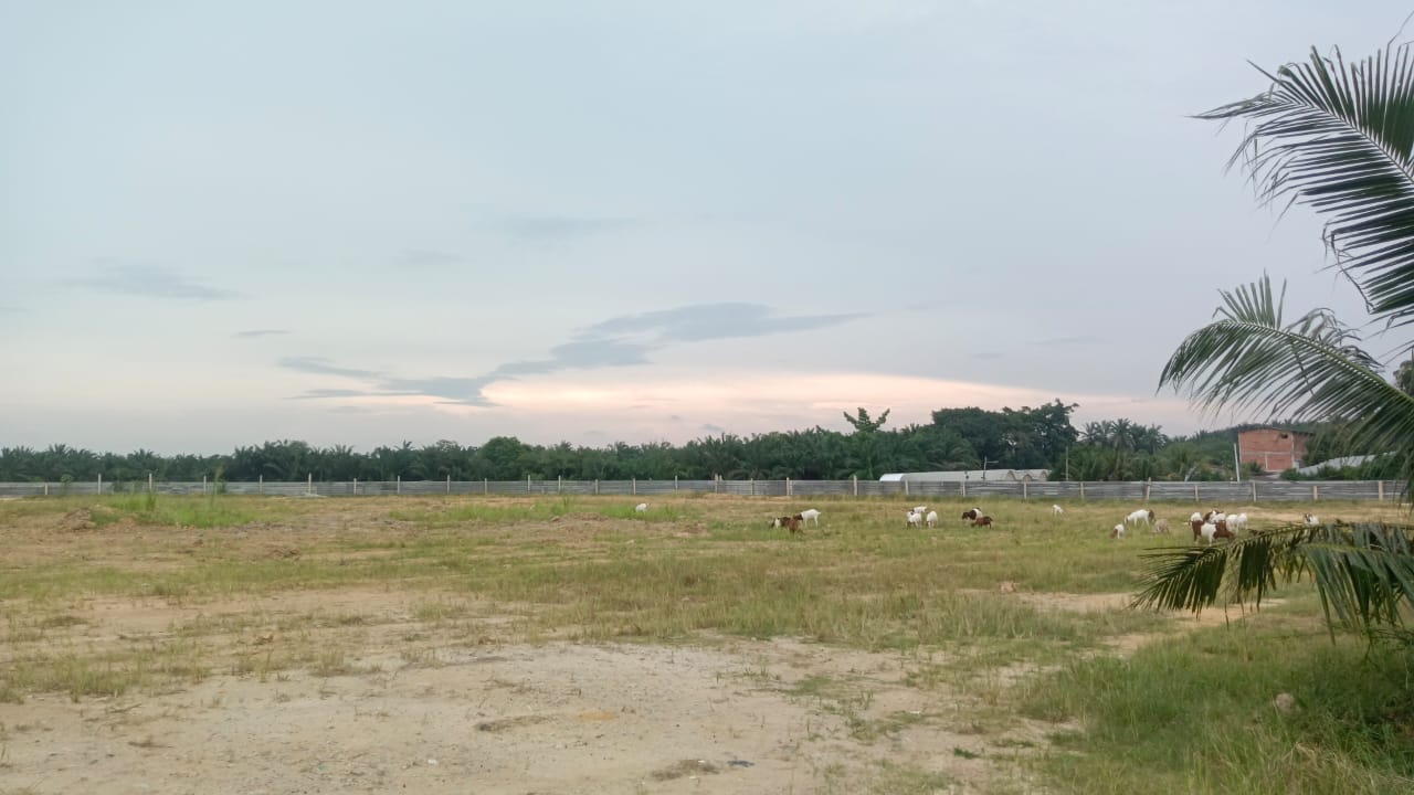 permatang tinggi empty land - photo 3
