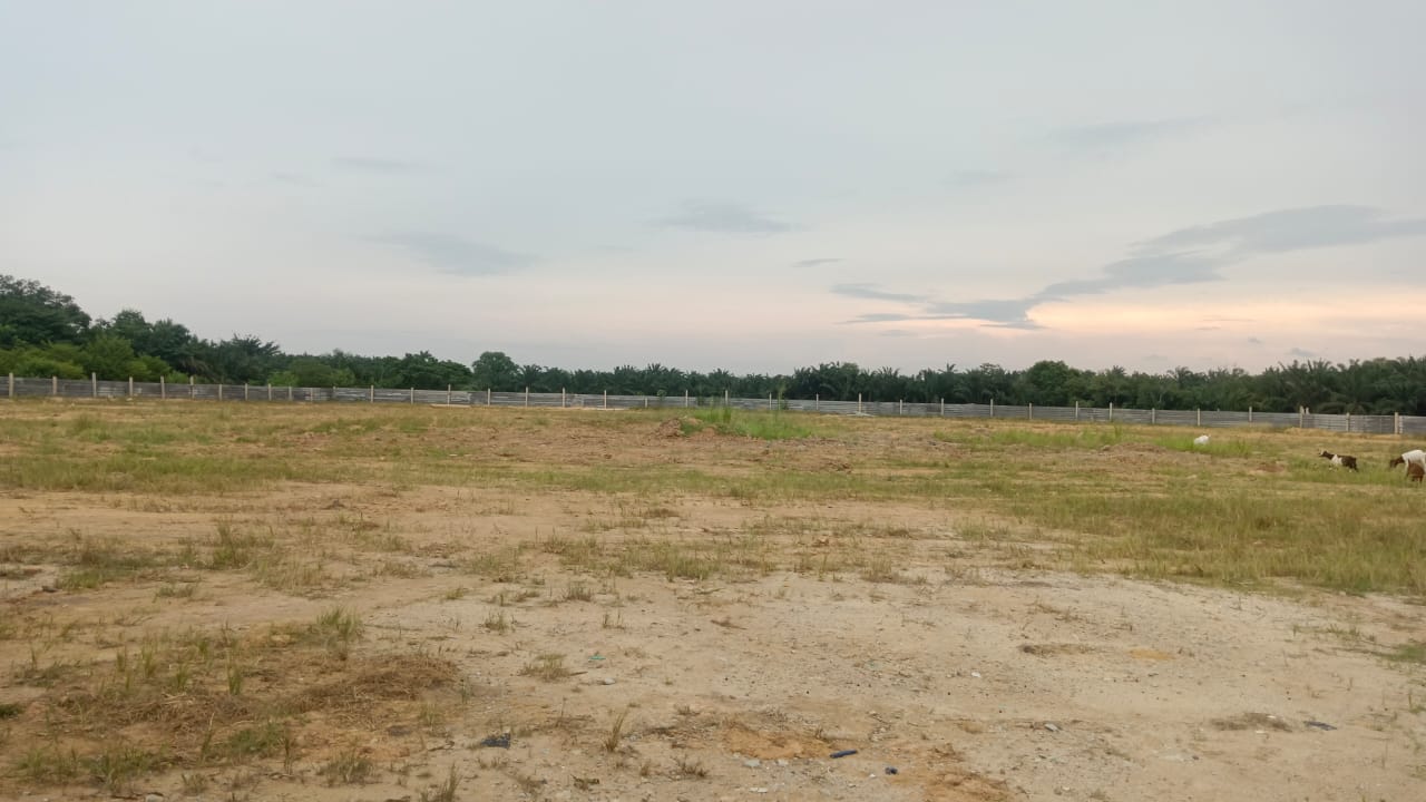 permatang tinggi empty land - photo 4