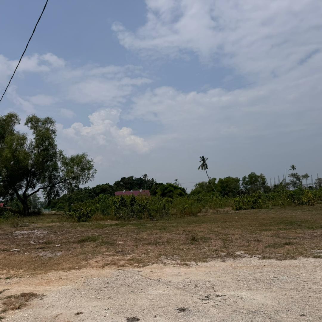 agriculture land bukit juru first grade - photo 4