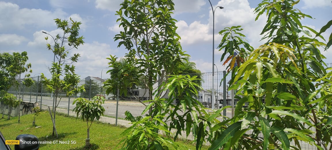 Sekysan 6 Kajang - photo 2