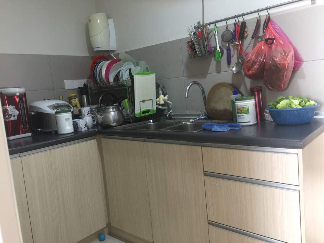 CASA GREEN CONDOMINIUM CHERAS - photo 4