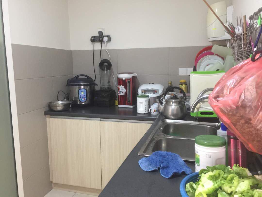 CASA GREEN CONDOMINIUM CHERAS - photo 9