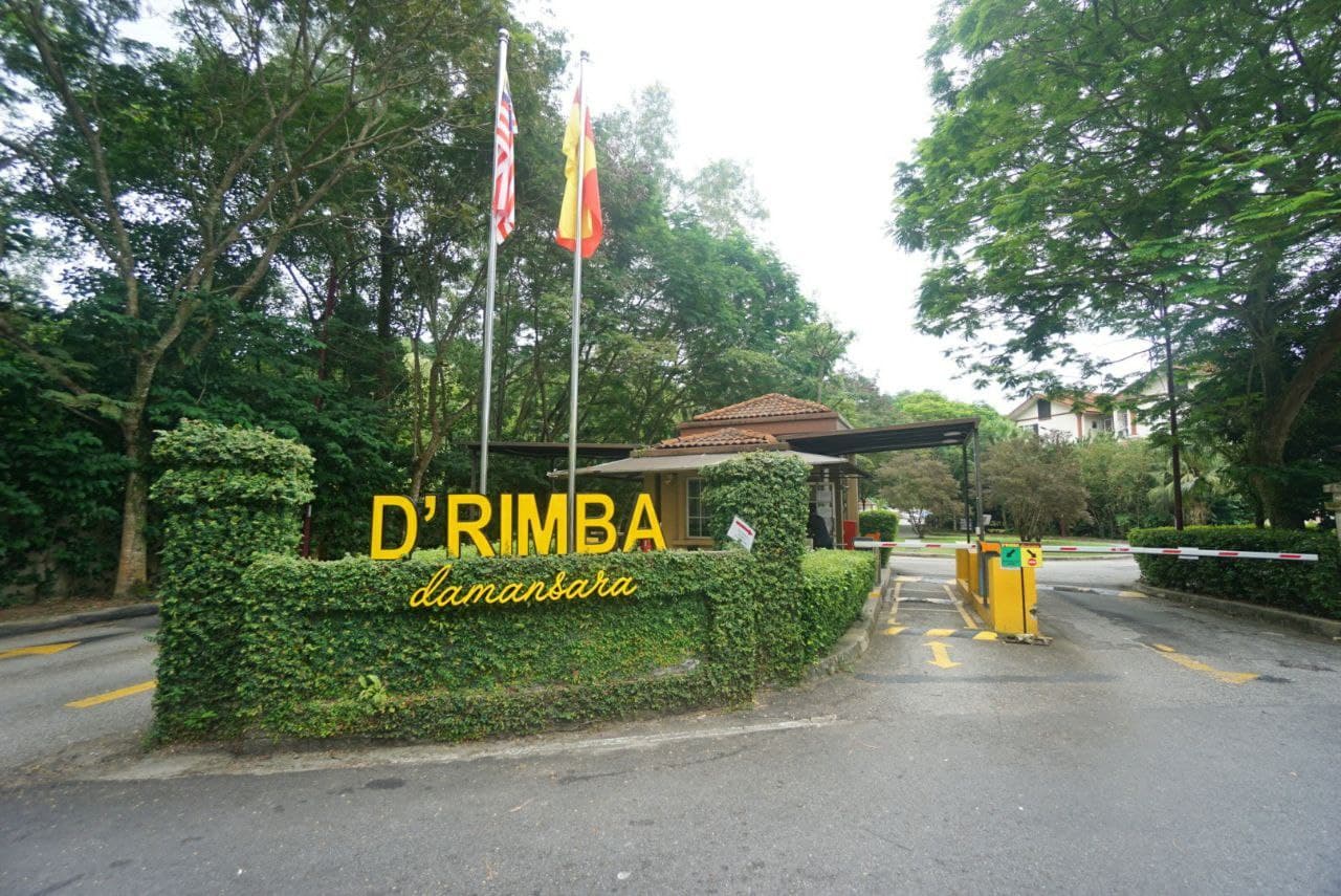 D Rimba - photo 2
