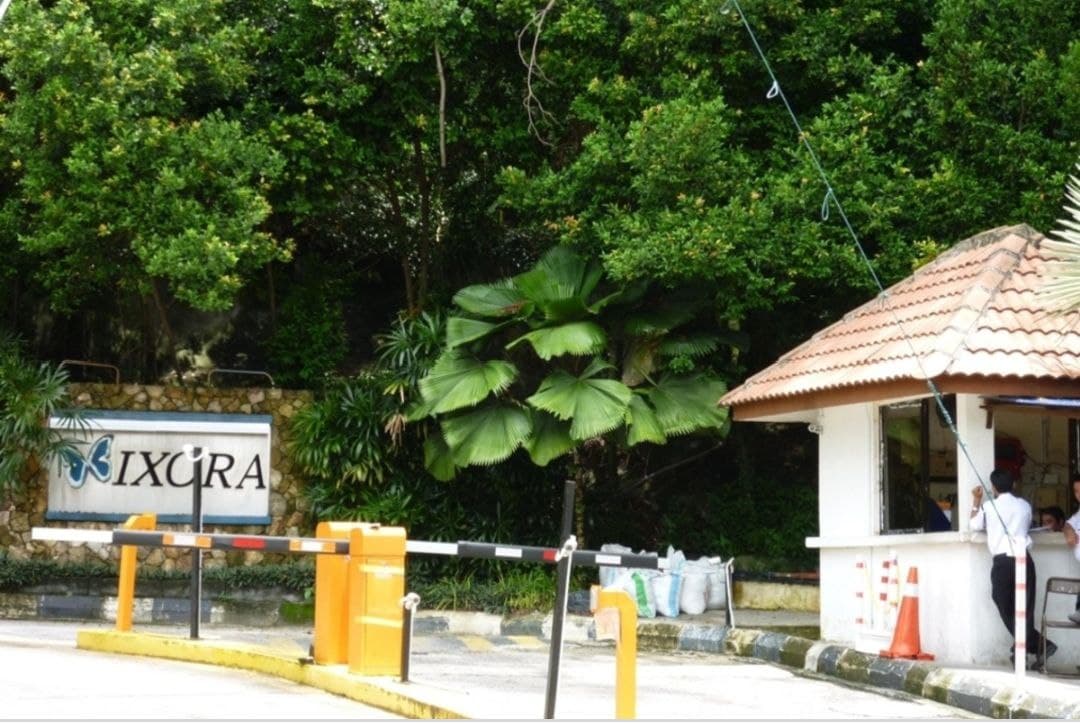 Ixora Apartment - photo 4