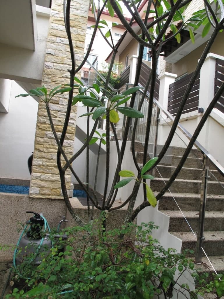 Beverly Heights - photo 5