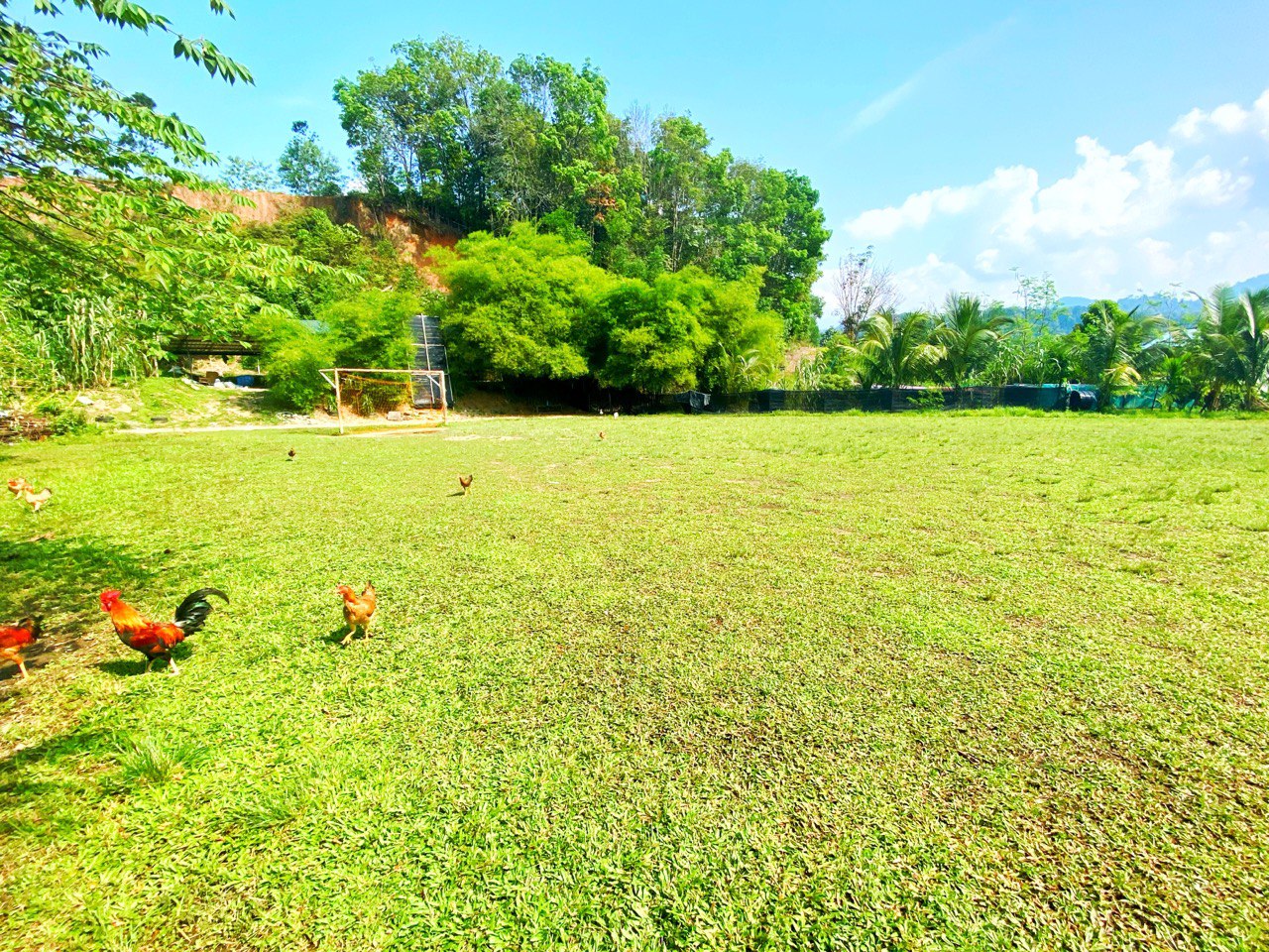 Taman Desa Gemilang - photo 9