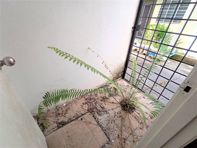 Town Villa Townhouse - photo 10