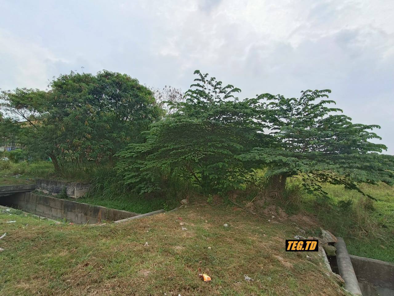 Teg TD Kapar Batu 7 Agriculture Land - photo 4