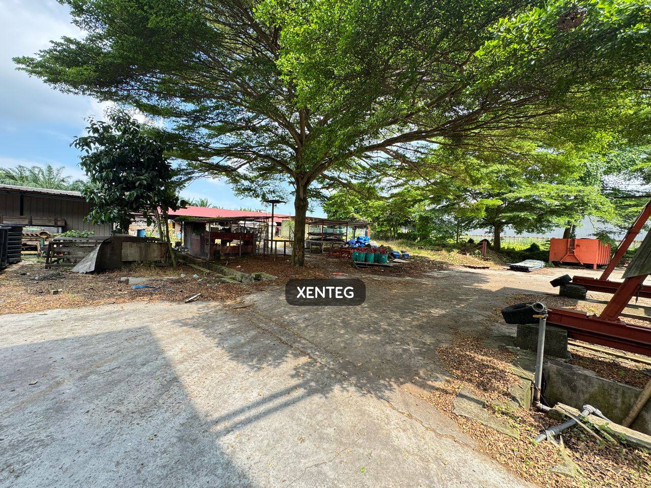 Teg Xen Seri Perapat Agriculture Land - photo 2
