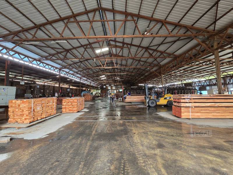 Alex Klang utama Factory - photo 4