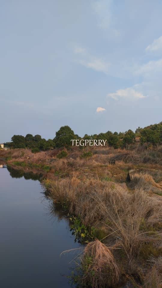 Teg Perry Sembilan Agriculture Land - photo 11