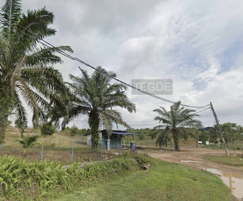 Teg D E Sembilan Agriculture Land - photo 2