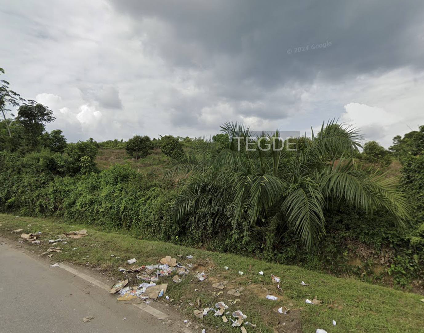 Teg D E Sembilan Agriculture Land - photo 3