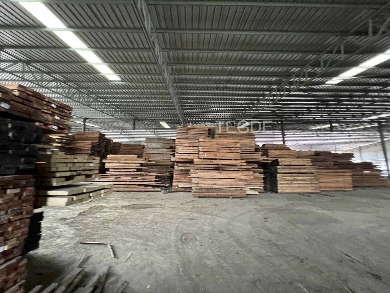Teg D E Pandamaran Warehouse - photo 6