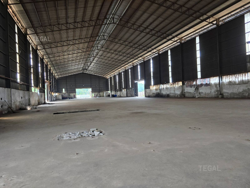Alex Telok Gong Factory