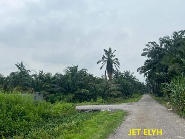 4 9mil Telok Panglima Garang Industrial Land 82kSF - photo 3