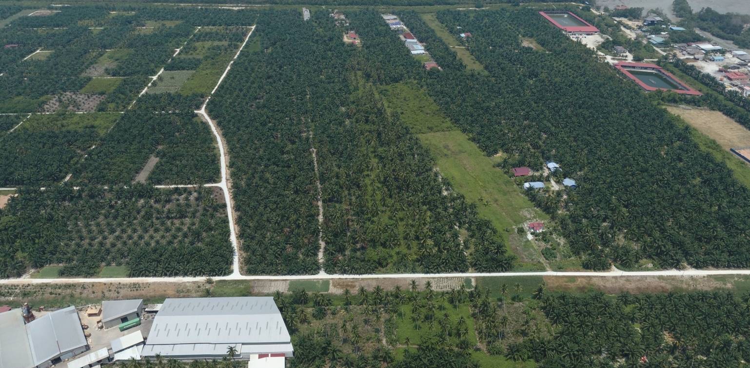 Kapar Land - photo 3