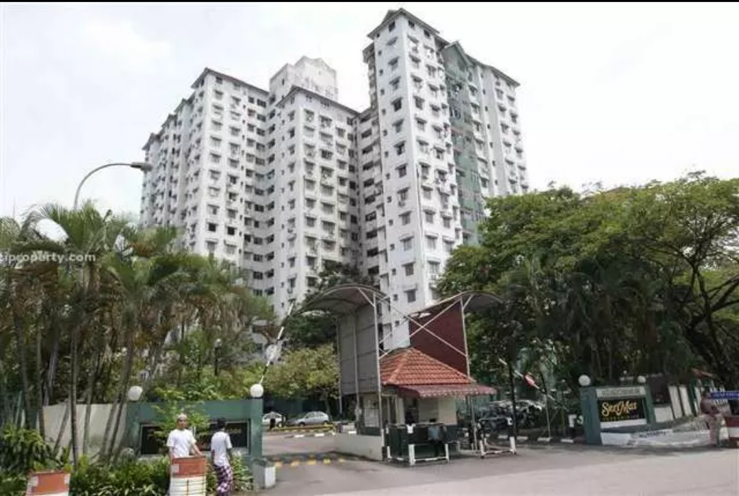 Seri mas - photo 6